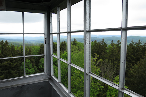 views from the firetower in Allis State Park, Vermont