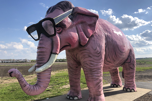 Pinkie the Pink Elephant in DeForest, Wisconsin