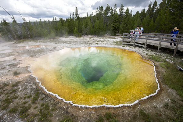 Morning Glory Pool in Yellowstone National Park, Wyoming