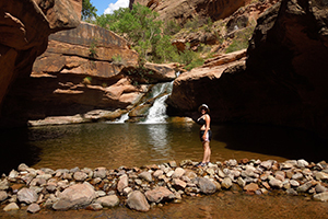 Left Fork in Moab, UT Left Fork in Moab, UT