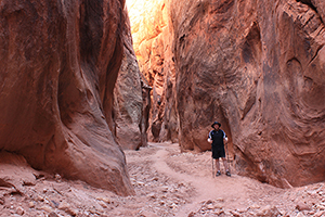 Buckskin Gulch (near Wire Pass), Utah