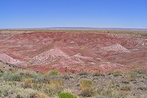 Petrified Forest National Park, Arizona