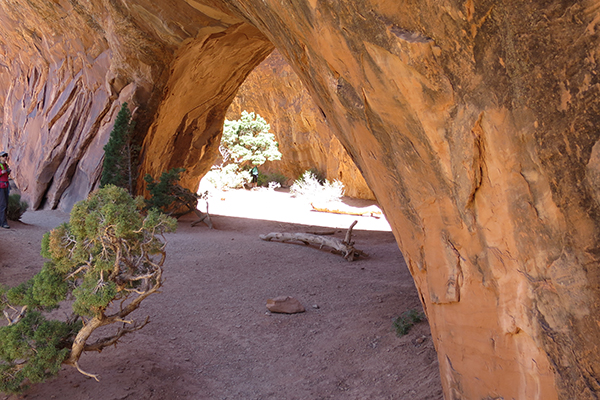 Navajo Arch, Arches National Park, Utah