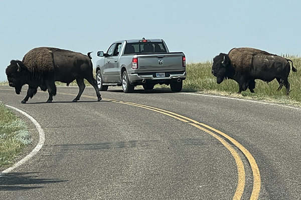 North Unit of Theodore Roosevelt National Park in North Dakota