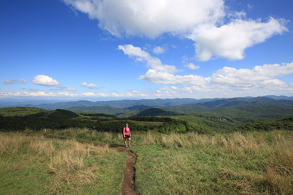 Max Patch (North Carolina)