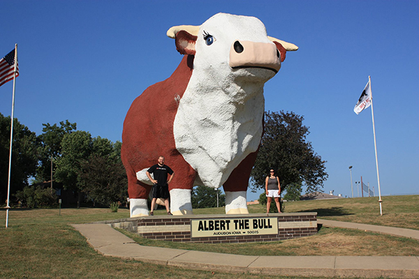 Albert the Bull (IA)