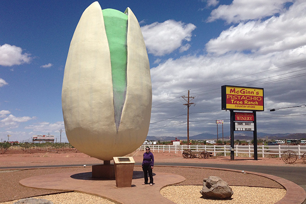World's Largest Pistachio (NM)