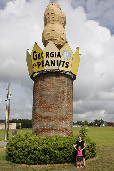 World's Largest Peanut (Ashburn)