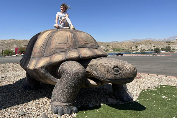 World's Largest Desert Tortoise (Bullhead Cit