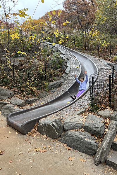 Billy Johnson Playground, Central Park