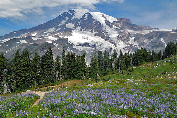 Mount Rainier, Washington