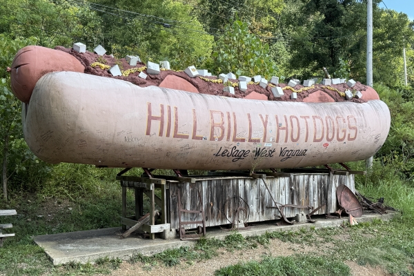 Hillbilly Hot Dogs in Lesage, West Virginia