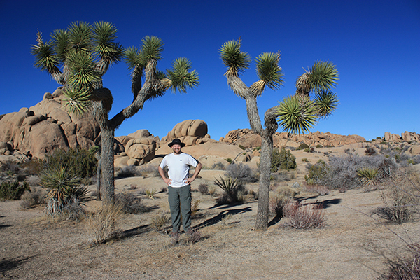 Joshua Tree National Park near Palm Springs, California