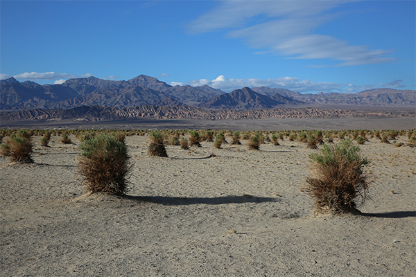 Death Valley National Park, California