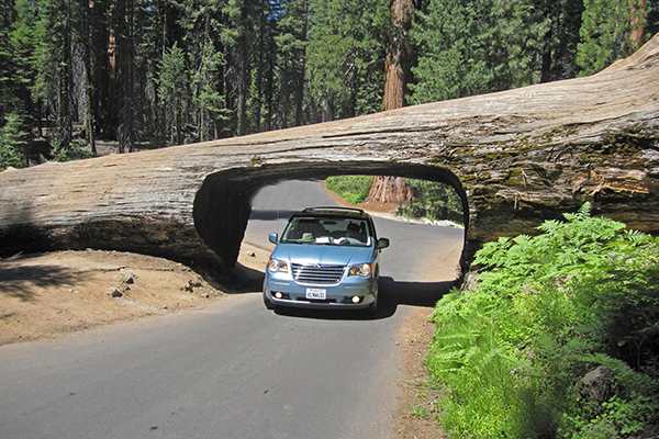 Sequoia National Park, California