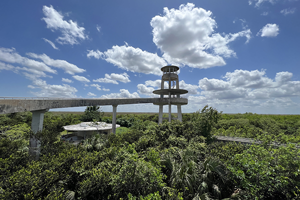 Shark Valley in Everglades National Park, Florida