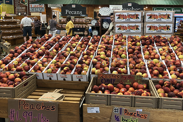 Georgia peaches