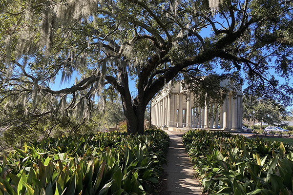 City Park, New Orleans