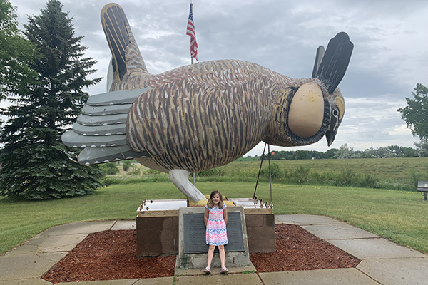 World's Largest Booming Prairie Chicken in Rothsay, Minnesota