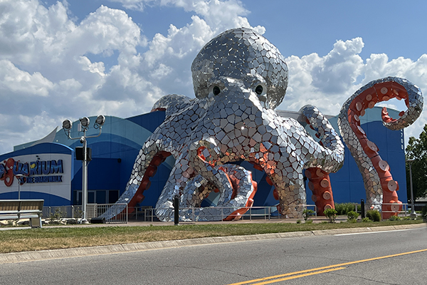 Aquarium at the Boardwalk in Branson, Missouri