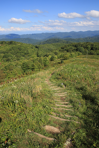 views from Max Patch in Pisgah National Forest in North Carolina