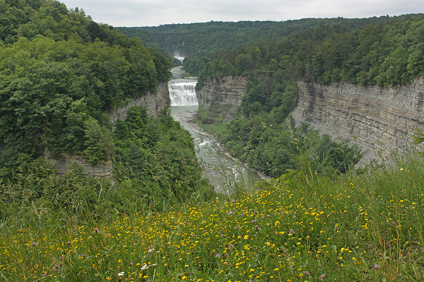 Letchworth State Park, New York