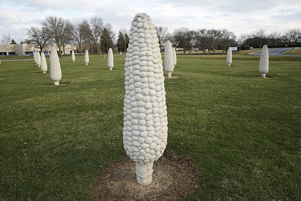 Field of Giant Corn Cobs in Dublin, Ohio