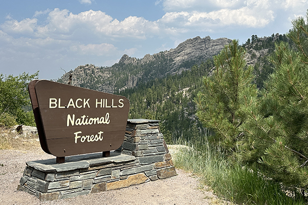 Black Hills National Forest sign Black Hills National Forest sign