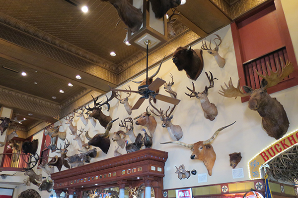 Buckhorn Museum in San Antonio, Texas