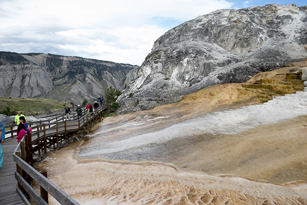 Mammoth Hot Springs, Yellowstone National Park, Wyoming