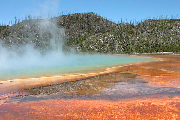 thermal feature in Yellowstone National Park