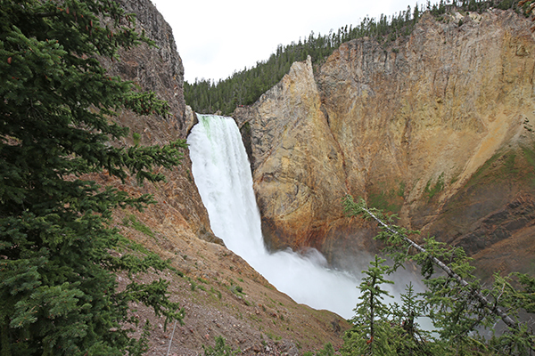 Lower Falls, Yellowstone National Park, Wyoming