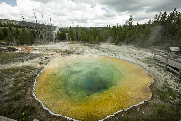 Morning Glory Pool, Yellowstone National Park