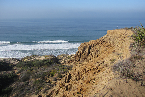 Torrey Pines