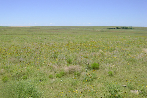 Mount Sunflower, Kansas